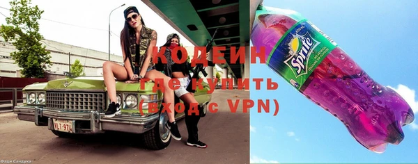 ПСИЛОЦИБИНОВЫЕ ГРИБЫ Арсеньев