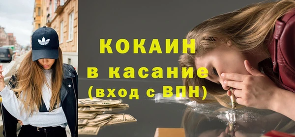 ПСИЛОЦИБИНОВЫЕ ГРИБЫ Арсеньев